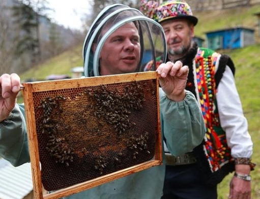 Дмитрий Комаров решил поселиться в Карпатах: где ведущий построит дом